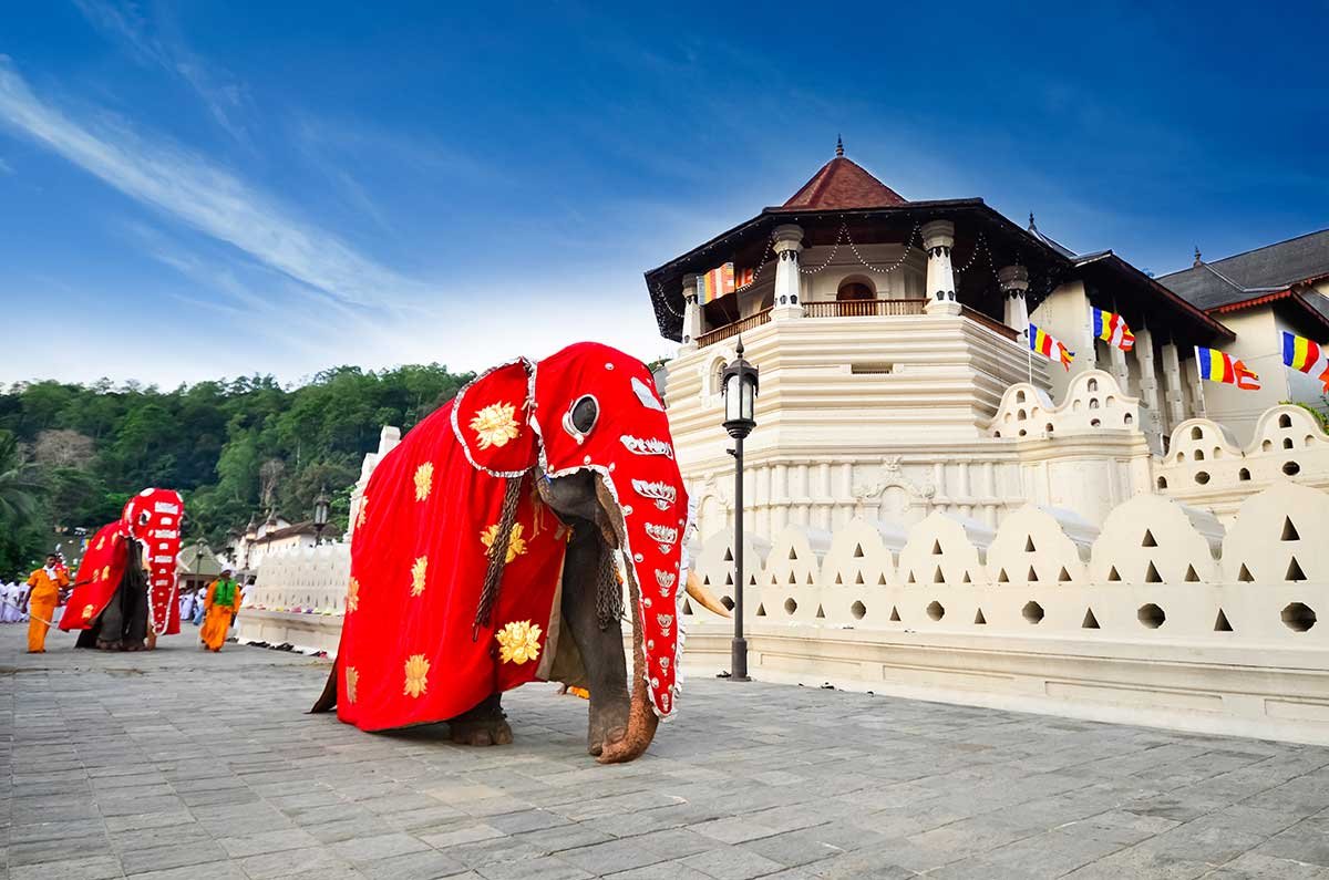 temple of tooth